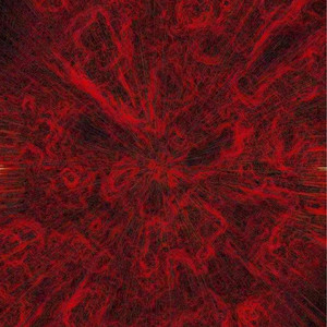 美女公安一级大毛片
