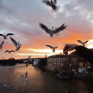 美女公安一级大毛片
